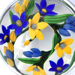 Stars of the Northern Sky Pwt by Colin Richardson